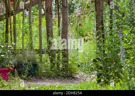 Insektenfreundlicher blumenreicher Naturgarten, Deutschland Stockfoto