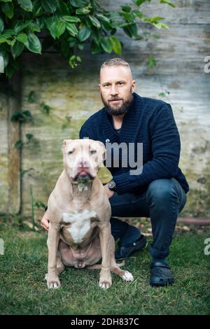 Portrait of man Crouching von American Pit Bull Terrier at Hof Stockfoto