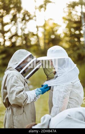 Leitender Imker, der Kollegen beim Tragen von Kopfbedeckungen auf dem Feld unterstützt Stockfoto