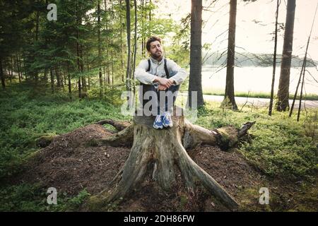 Nachdenklicher wonderlust Mann sitzt auf Baumstumpf im Wald Stockfoto