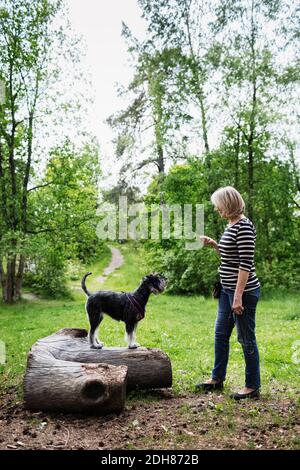 Hund steht auf Log vor Senior Frau an Ein Stockfoto