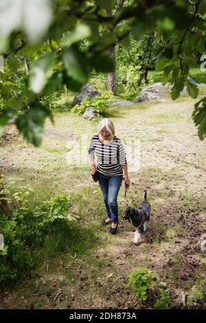 Aus der Sicht der älteren Frau und des Hundes, die auf dem Weg sind Ein Stockfoto