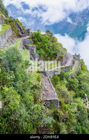 Die Steintreppe Abstieg von Huayna Picchu und Inka Terrassen auf steilen Berghang im Urubamba River Valley in Morgenwolke, Machu Picchu Stockfoto