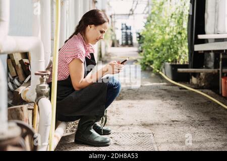 Weibliche Gärtnerin Textnachrichten auf Handy, während sie sitzt Gewächshaus Stockfoto