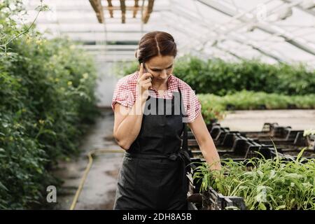 Gärtnerin, die während der Arbeit im Gewächshaus mit dem Handy spricht Stockfoto
