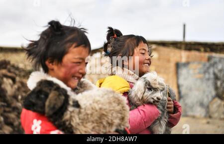 (201210) -- LHASA, 10. Dezember 2020 (Xinhua) -- Kinder halten Lämmer in der Gemeinde Pumaqangtang des Landkreises Nagarze in Shannan, südwestlich von Chinas Autonomer Region Tibet, 15. April 2020. Pumaqangtang, Chinas höchste Gemeinde, hat eine durchschnittliche Höhe von 5,373 Metern, wobei der Sauerstoffgehalt auf Meereshöhe weniger als 40 Prozent beträgt. Die Dorfbewohner hier lebten früher in Erdsteinhäusern ohne Strom, fließendes Wasser, Gemüse oder Obst. Solche harten Lebensbedingungen dauerten bis in die 1970er Jahre an. Heute sind alle Dorfbewohner in Pumaqangtang in bessere Wohnsitze gezogen. Verglichen mit der Vergangenheit, Stockfoto