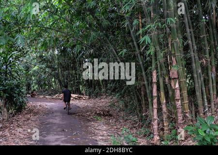 Rumpin, Indonesien. Dezember 2020. Anwohner werden im Dorf Rumpin in Bogor Regency der Provinz West Java, Indonesien, 10. Dezember 2020 gesehen. Bekannt als das Bambusdorf, Rumpin Dorf ist einer der Lieferanten von Bambus für Jakarta, Bogor und Tangerang Gebieten. Quelle: Veri Sanovri/Xinhua/Alamy Live News Stockfoto