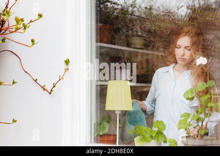 Frau Bewässerung Topfpflanze zu Hause aus Glasfenster gesehen Stockfoto