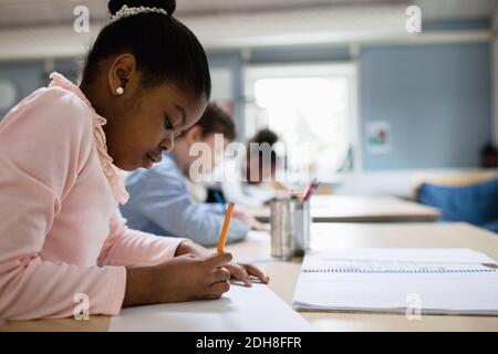 Konzentrierte Schüler, die am Schreibtisch im Klassenzimmer studieren Stockfoto