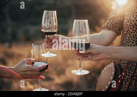 Freunde klirren Gläser mit Wein während des Picknicks Stockfoto