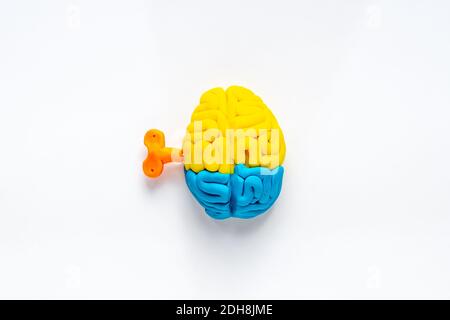 Ideenkonzept. Arbeit des Gehirns - Modell aus buntem Ton, Draufsicht Stockfoto