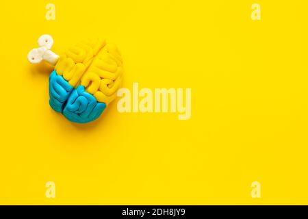 Ideenkonzept. Arbeit des Gehirns - Modell aus buntem Ton, Draufsicht Stockfoto