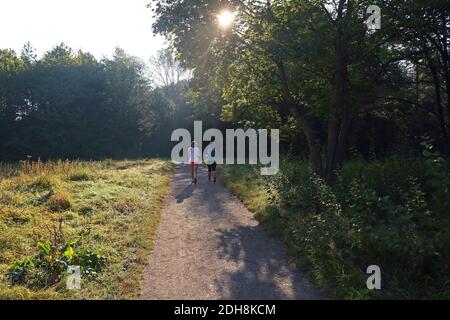 Zwei Läuferinnen joggen im Freien im Wald, Deutschland, Hessen, Dietesheim Stockfoto