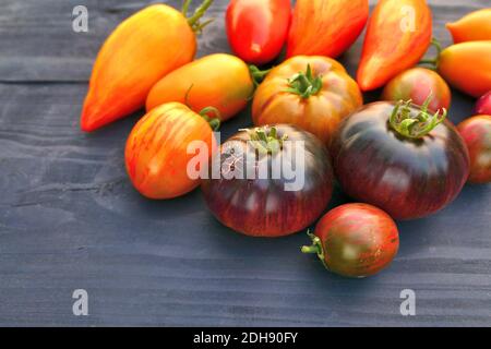Erbstück bunte Tomaten auf dunklem Holzhintergrund. Sommerernte. Stockfoto