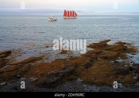BAR HARBOR, ME -10 AUG 2020- Blick auf die Margaret Todd, ein Viermast-Schoner, der in Bar Harbor, Mount Desert Island, Maine, USA segelt. Stockfoto