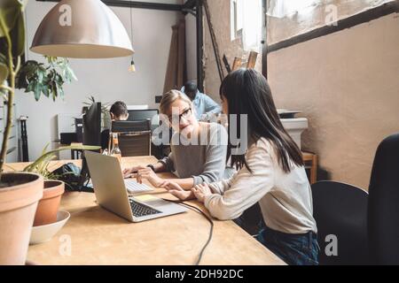 Weibliche Computerprogrammiererinnen diskutieren am Arbeitsplatz Stockfoto