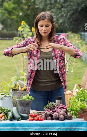 Mittlere Erwachsene Frau fotografiert frisch geerntetes Gemüse im städtischen Garten Stockfoto