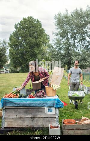 Mittlere Erwachsene Frau, die Gartengemüse auf dem Tisch mit Mann arrangiert Im Hintergrund Stockfoto