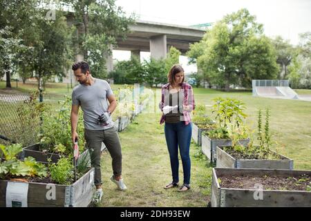 Volle Länge der mittleren erwachsenen Paar untersucht Pflanzen in der Stadt Garten Stockfoto