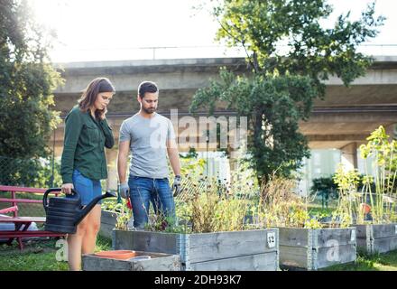 Mid adult Paar untersucht Pflanzen im städtischen Garten Stockfoto