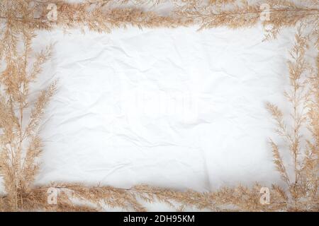 Rahmen in Form von getrockneten Blumen auf weißem zerknittert Hintergrund.Textur für Web-Design Bildschirmschoner. Vorlage für verschiedene Zwecke . Kopierraum Stockfoto