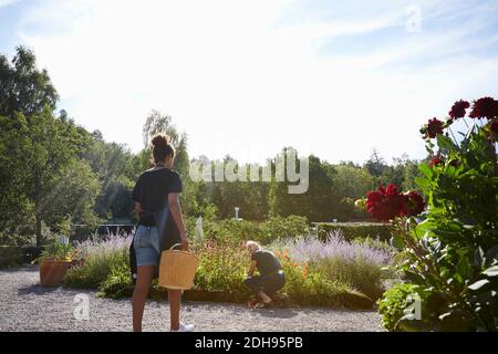 Rückansicht der weiblichen Floristin, die den Korb in Richtung des Kollegen hockend trägt Durch Blumenpflanzen Stockfoto