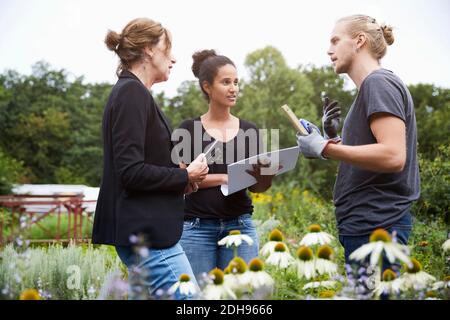 Architekten kommunizieren inmitten von Pflanzen im Garten Stockfoto