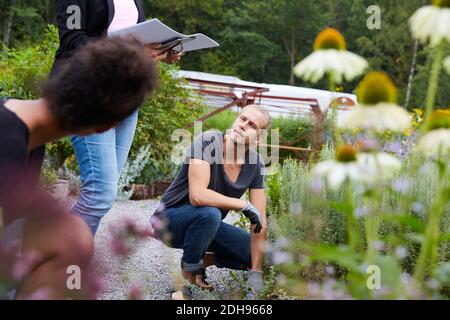 Gartenarchitekten arbeiten zusammen im Hof Stockfoto