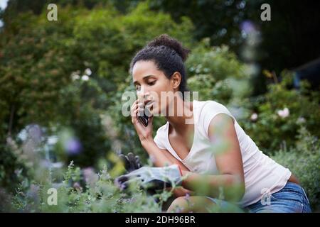 Junge Gärtnerin mit Handy beim Blick auf Pflanzen Stockfoto