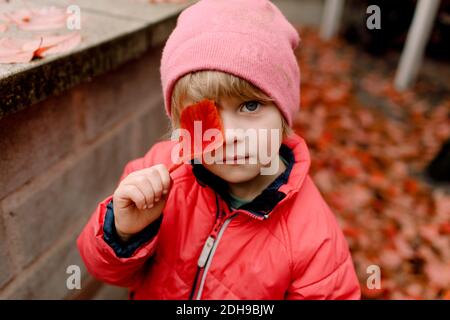 Porträt eines jungen halten Herbst Blatt Stockfoto