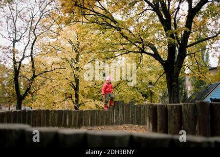 Junge steht auf Holzzaun gegen Herbstbäume Stockfoto