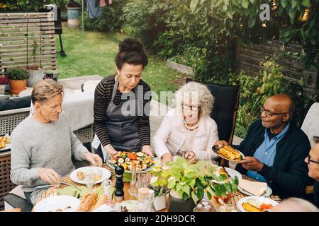 Frau, die beim Abendessen älteren Freunden Grillgerichte serviert Tisch während der Dinner-Party im Hinterhof Stockfoto