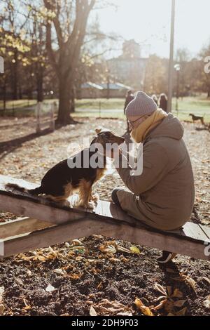 Seitenansicht des Mannes, der beim Sitzen mit dem Hund verbunden ist parken Sie im Herbst Stockfoto
