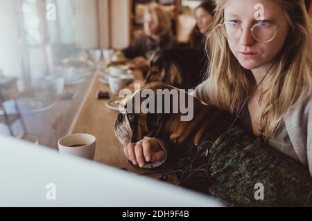 Junge Frau sitzt mit Boxer Hund während mit Laptop an Café Stockfoto