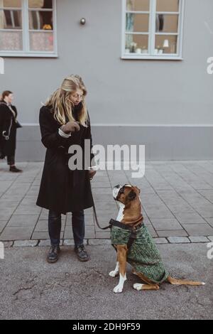Volle Länge der jungen Frau mit Boxer Hund gegen stehen Gebäude in der Stadt Stockfoto