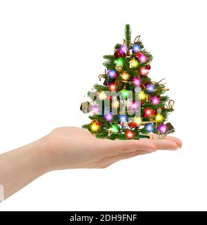 Weihnachtsbaum in der hand Stockfoto