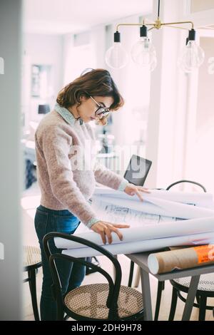 Frau schaut auf Blaupause arbeiten zu Hause Stockfoto