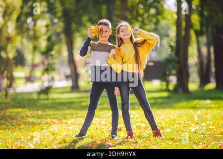 Glückliche kaukasische Geschwister genießen im Herbsttag im Park, sonniges Wetter. Kinder haben Spaß mit gefallenen gelben Blättern in der Natur. Stockfoto