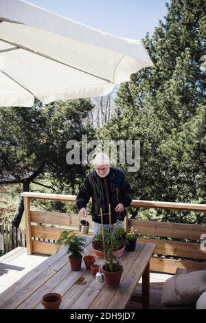 High-Angle-Ansicht des Senior man Bewässerung Topfpflanzen an Tabelle gegen Bäume Stockfoto