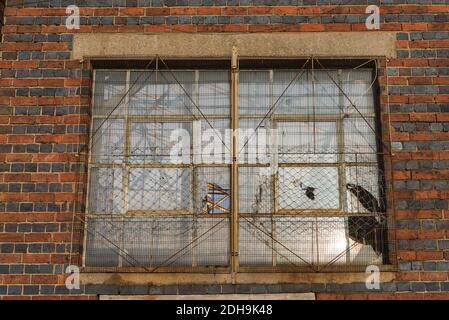 Verfallenere Fabriken und fliegenkippter Müll Linie Abberley Street in Cape Hill, Smethwick, West Midlands, Großbritannien Stockfoto