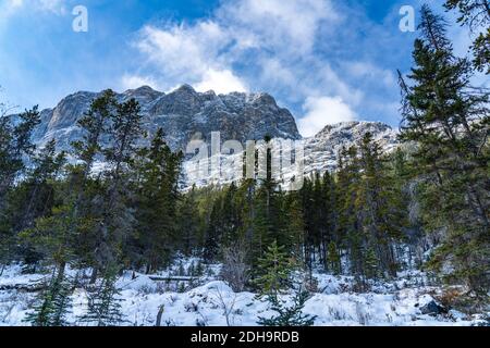 Waldlandschaft im frühen Winter, grüne Pinien im Vordergrund, schneebedeckte Berge mit gefrorenen Bäumen im Hintergrund. Landschaft in Grassi Lakes T Stockfoto