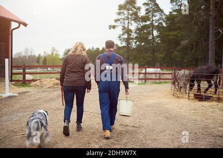 Rückansicht des reifen Paares zu Fuß in der Farm Stockfoto