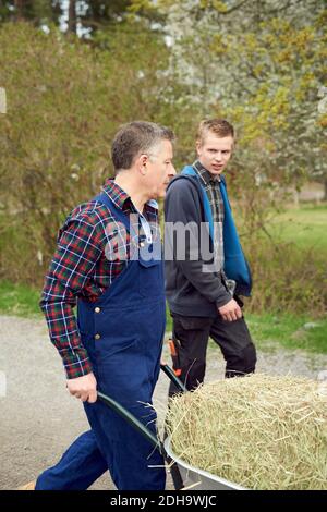 Vater im Gespräch mit Sohn, während Heu in Schubkarre Stockfoto