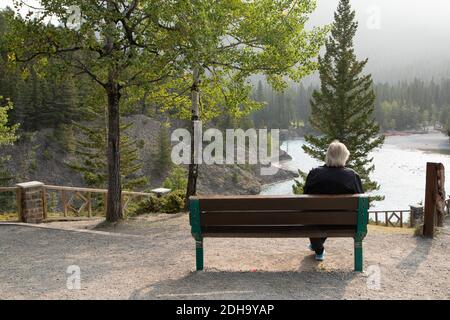 Bill, Bow River Falls, Banff Alberta Stockfoto