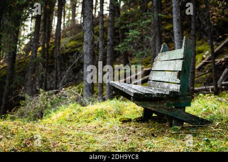 Alte grüne Parkbank, auf einem grasbewachsenen Hügel im Banff Nationalpark Stockfoto