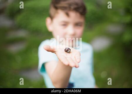 Junge zeigt Schnecke auf der Handfläche im Hinterhof Stockfoto