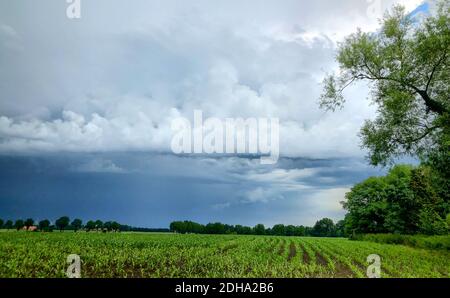 Das Kommen eines großen Sturms, Unwetters oder Hurrikans über der Landschaft. Stockfoto