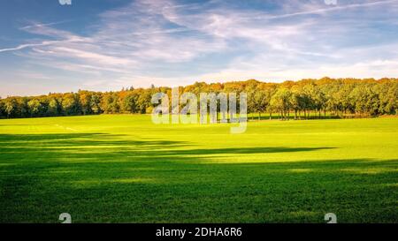Blick auf grüne Felder, Bauernhöfe und dichte Wälder am Tankenberg (in der Nähe der Stadt Oldenzaal) an einem sonnigen oktobertag, aber die Sonne untergeht Stockfoto