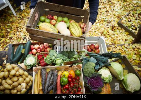 Blick auf den Menschen mit frischen Produkten im Korb Am Hof Stockfoto