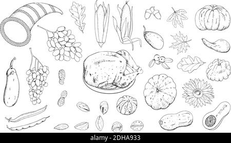 Vektor-Set für Thanksgiving Day, handgezeichnete Kontur der Form isolieren auf weißem Hintergrund, Trauben, Auberginen, Eiche und Ahornblätter, Kürbisse, sunf Stock Vektor
